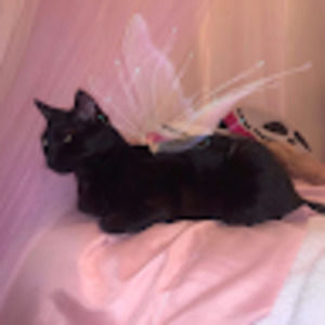 Meet your Posher, Sascha